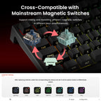 AKKO TAC75 HE Magnetic Switch Keyboard – 75%, Rapid Trigger 0.005mm, 8K RGB, Wired Esports Custom Gaming Keyboard