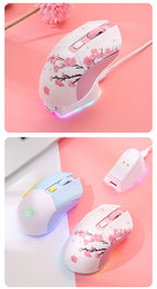 DAREU Dual-Mode Gaming Mouse – 2.4G Wireless & Wired, RGB, 930mAh Rechargeable Battery, Macro Programmable, for PC & Laptop