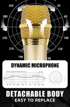2.4G Wireless Microphone UHF Fixed Frequency 2 Channels Handheld Mic Micphone For Party Karaoke Professional Church Show Meeting