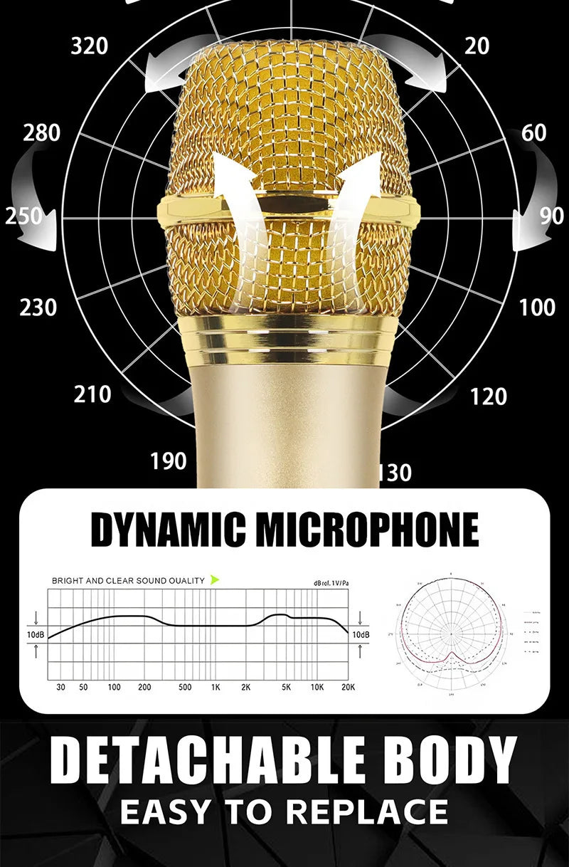 2.4G Wireless Microphone UHF Fixed Frequency 2 Channels Handheld Mic Micphone For Party Karaoke Professional Church Show Meeting