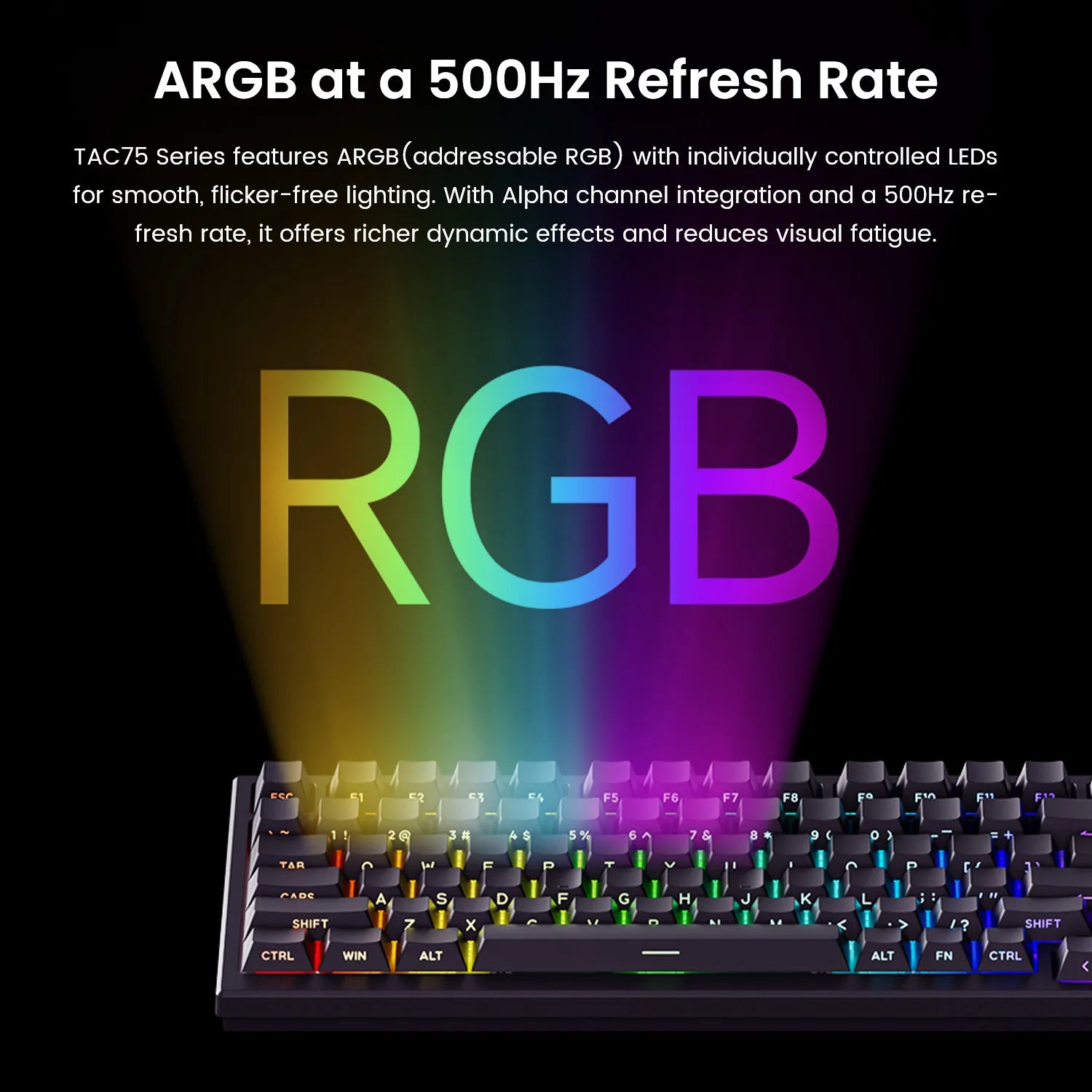 AKKO TAC75 HE Magnetic Switch Keyboard – 75%, Rapid Trigger 0.005mm, 8K RGB, Wired Esports Custom Gaming Keyboard