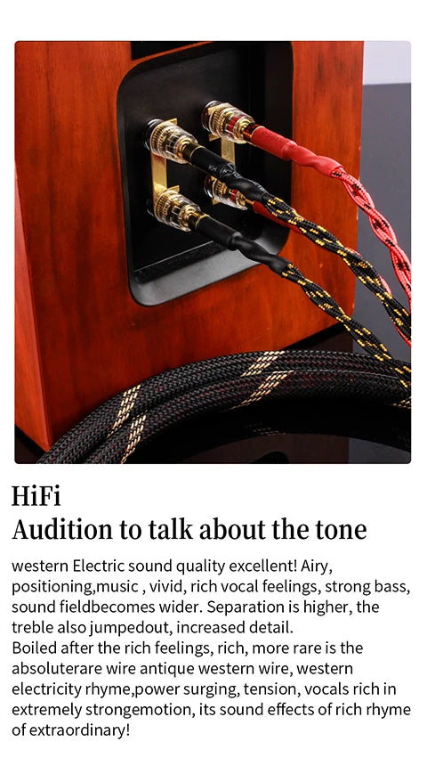 YYAUDIO One Pair of Hi-Fi Speaker Cables – High-End OCC Speaker Cable for Hi-Fi Audio Systems, Banana Plug Speaker Cable