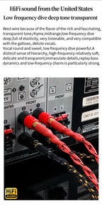 YYAUDIO One Pair of Hi-Fi Speaker Cables – High-End OCC Speaker Cable for Hi-Fi Audio Systems, Banana Plug Speaker Cable